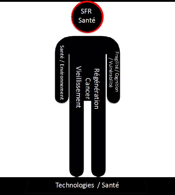 Axes de la SFR