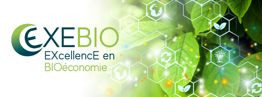 Project Exebio