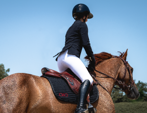 Photo d'un cheval au galop et son cavalier Photo d'un cheval au galop et son cavalier