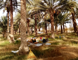 Photo d'une oasis Photo d'une oasis
