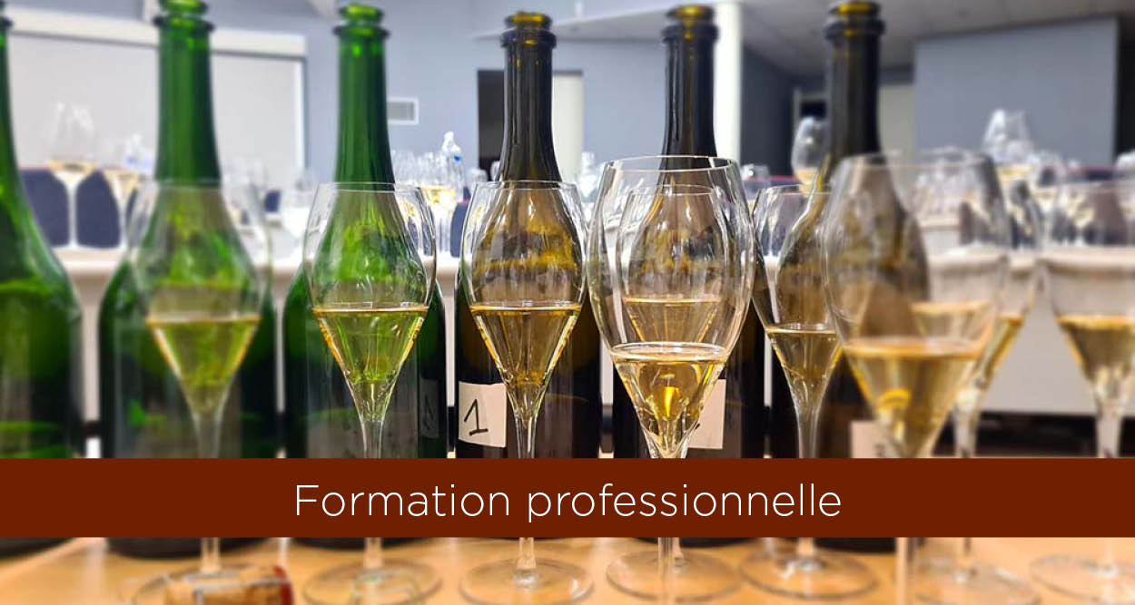 Formation professionnelle