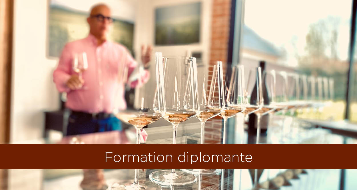 Formation diplomate