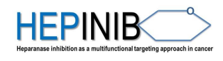 Hepinib logo