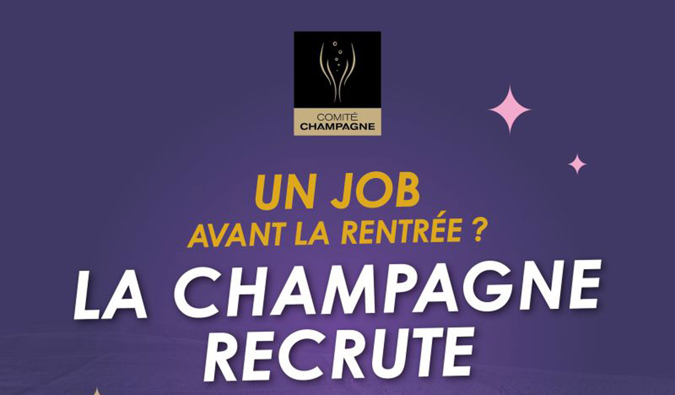 Étudiants, venez découvrir  comment se passent les vendanges en Champagne ! 