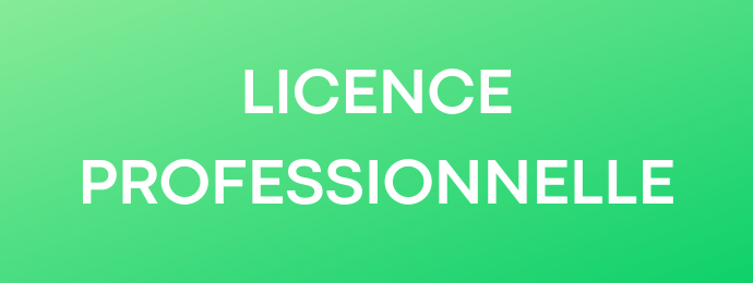 Licences pro UFR SESG